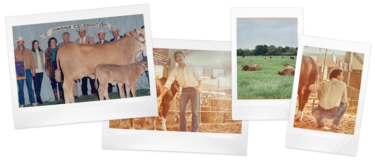 Collection of Polaroid-style photos featuring people with cows on a farm.