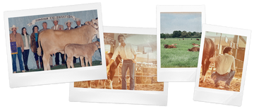 Collection of Polaroid-style photos featuring people with cows on a farm.